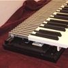 Hammond